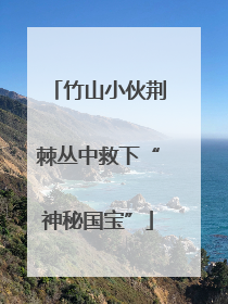 竹山小伙荆棘丛中救下“神秘国宝”