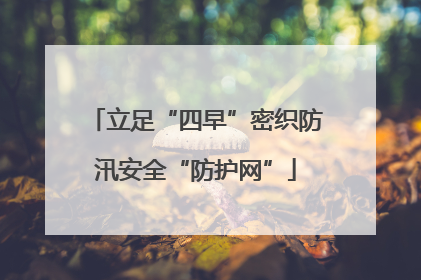 立足“四早”密织防汛安全“防护网”