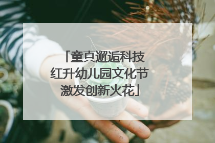 童真邂逅科技 红升幼儿园文化节激发创新火花