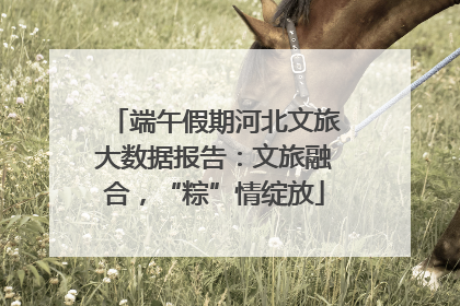 端午假期河北文旅大数据报告：文旅融合，“粽”情绽放