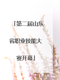 第二届山东省职业技能大赛开幕