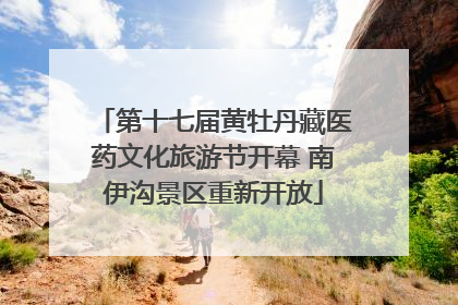 第十七届黄牡丹藏医药文化旅游节开幕 南伊沟景区重新开放