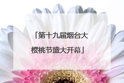 第十九届烟台大樱桃节盛大开幕