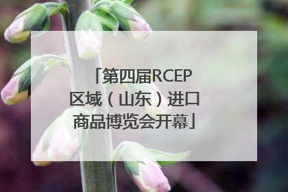 第四届RCEP区域（山东）进口商品博览会开幕