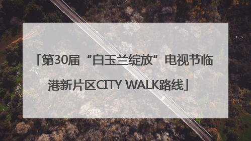 第30届“白玉兰绽放”电视节临港新片区CITY WALK路线