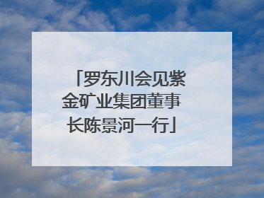罗东川会见紫金矿业集团董事长陈景河一行