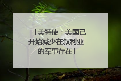 美特使：美国已开始减少在叙利亚的军事存在