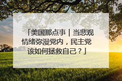 美国那点事｜当悲观情绪弥漫党内，民主党该如何拯救自己？