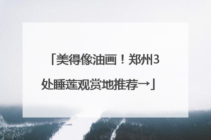 美得像油画！郑州3处睡莲观赏地推荐→