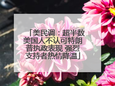 美民调：超半数美国人不认可特朗普执政表现 强烈支持者热情降温