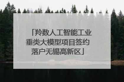 羚数人工智能工业垂类大模型项目签约落户无锡高新区