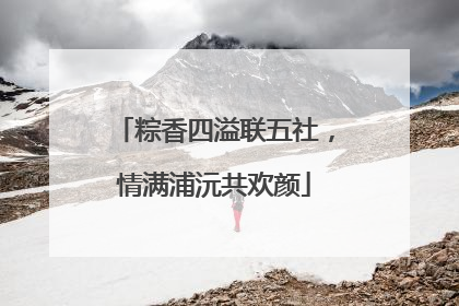 粽香四溢联五社，情满浦沅共欢颜