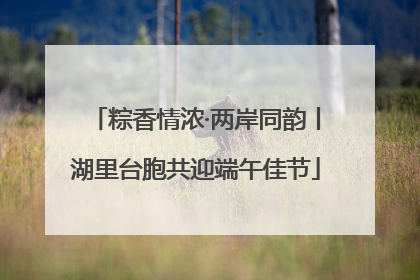 粽香情浓·两岸同韵丨湖里台胞共迎端午佳节