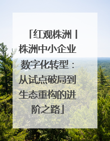 红观株洲丨株洲中小企业数字化转型：从试点破局到生态重构的进阶之路