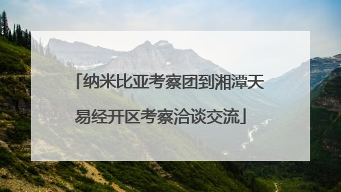纳米比亚考察团到湘潭天易经开区考察洽谈交流