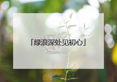 绿浪深处见初心