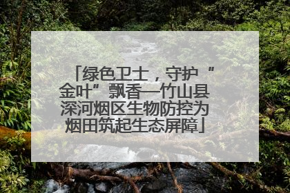 绿色卫士，守护“金叶”飘香—竹山县深河烟区生物防控为烟田筑起生态屏障