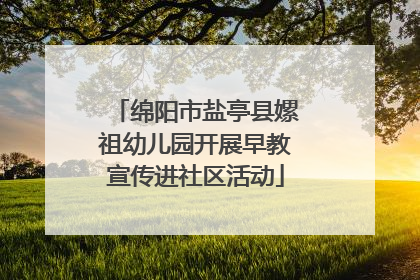 绵阳市盐亭县嫘祖幼儿园开展早教宣传进社区活动