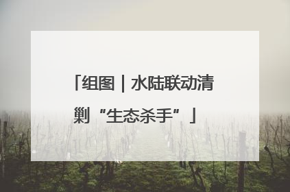 组图｜水陆联动清剿“生态杀手”