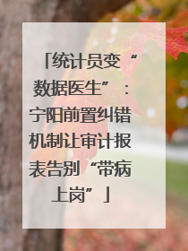 统计员变“数据医生”：宁阳前置纠错机制让审计报表告别“带病上岗”