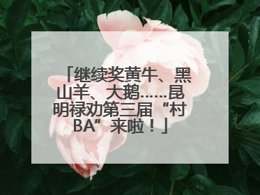 继续奖黄牛、黑山羊、大鹅……昆明禄劝第三届“村BA”来啦！
