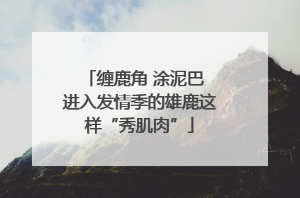 缠鹿角 涂泥巴 进入发情季的雄鹿这样“秀肌肉”