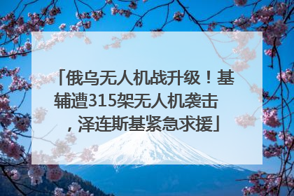 俄乌无人机战升级！基辅遭315架无人机袭击，泽连斯基紧急求援