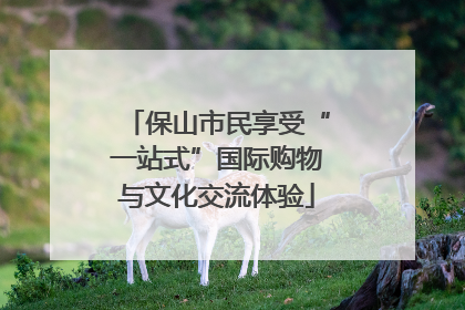 保山市民享受“一站式”国际购物与文化交流体验