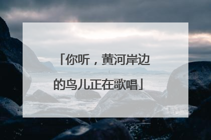 你听，黄河岸边的鸟儿正在歌唱