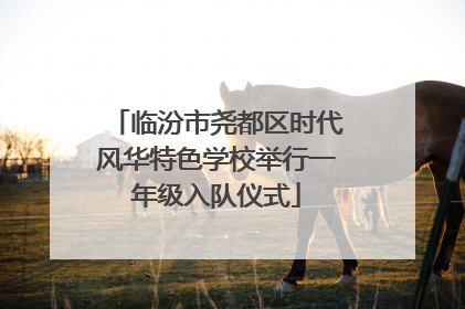 临汾市尧都区时代风华特色学校举行一年级入队仪式