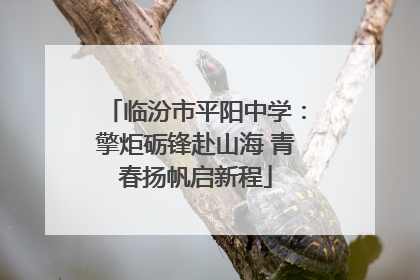 临汾市平阳中学：擎炬砺锋赴山海 青春扬帆启新程