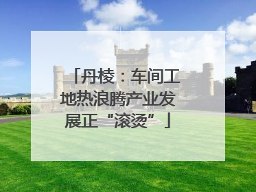 丹棱：车间工地热浪腾产业发展正“滚烫”