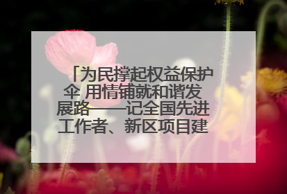 为民撑起权益保护伞 用情铺就和谐发展路——记全国先进工作者、新区项目建设中心干部卢小勇