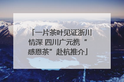 一片茶叶见证浙川情深 四川广元携“感恩茶”赴杭推介