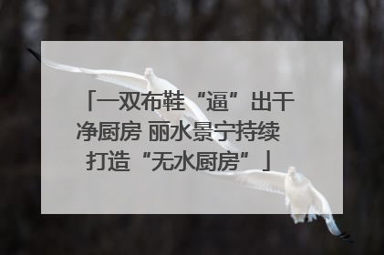 一双布鞋“逼”出干净厨房 丽水景宁持续打造“无水厨房”