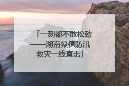 一刻都不敢松劲——湖南桑植防汛救灾一线直击