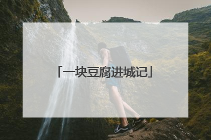 一块豆腐进城记