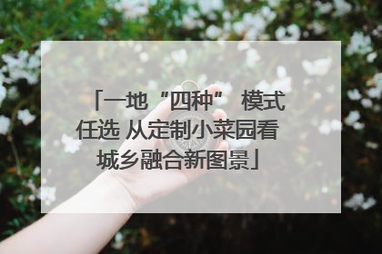 一地“四种” 模式任选 从定制小菜园看城乡融合新图景