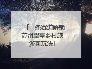 一条赛道解锁苏州望亭乡村旅游新玩法
