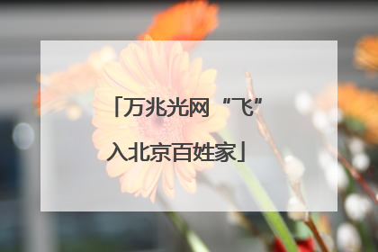 万兆光网“飞”入北京百姓家