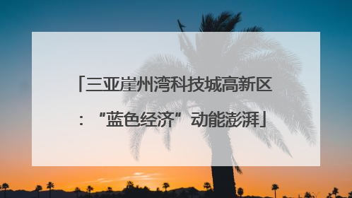 三亚崖州湾科技城高新区：“蓝色经济”动能澎湃