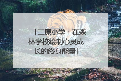 三原小学：在森林学校绘制心灵成长的终身能量