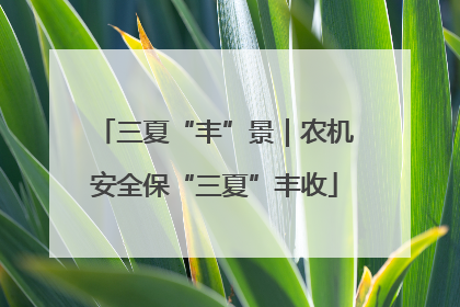 三夏“丰”景｜农机安全保“三夏”丰收