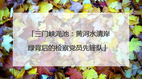 三门峡渑池：黄河水清岸绿背后的检察党员先锋队