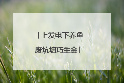 上发电下养鱼 废坑塘巧生金