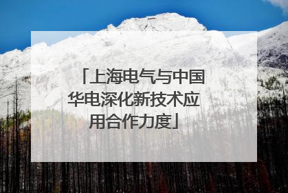 上海电气与中国华电深化新技术应用合作力度