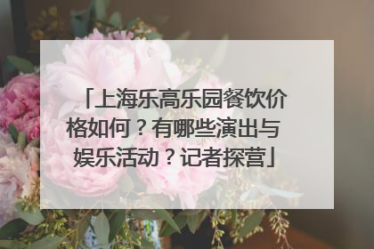 上海乐高乐园餐饮价格如何？有哪些演出与娱乐活动？记者探营
