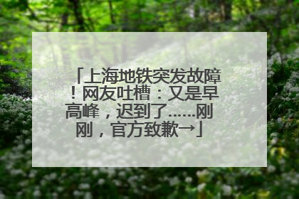 上海地铁突发故障！网友吐槽：又是早高峰，迟到了……刚刚，官方致歉→