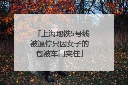 上海地铁5号线被逼停只因女子的包被车门夹住