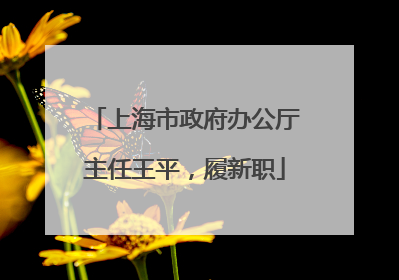 上海市政府办公厅主任王平，履新职
